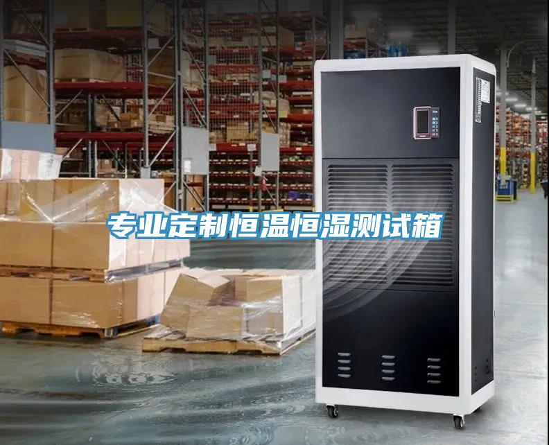 專業定制恒溫恒濕測試箱