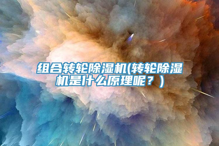 組合轉輪除濕機(轉輪除濕機是什么原理呢？)