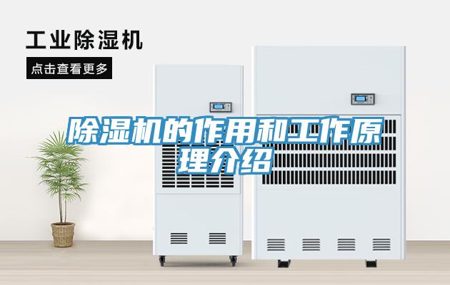 除濕機的作用和工作原理介紹