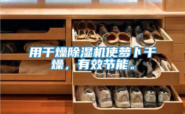 用干燥除濕機(jī)使蘿卜干燥，有效節(jié)能。