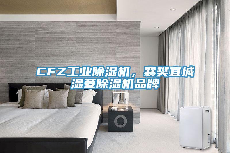 CFZ工業除濕機，襄樊宜城濕菱除濕機品牌