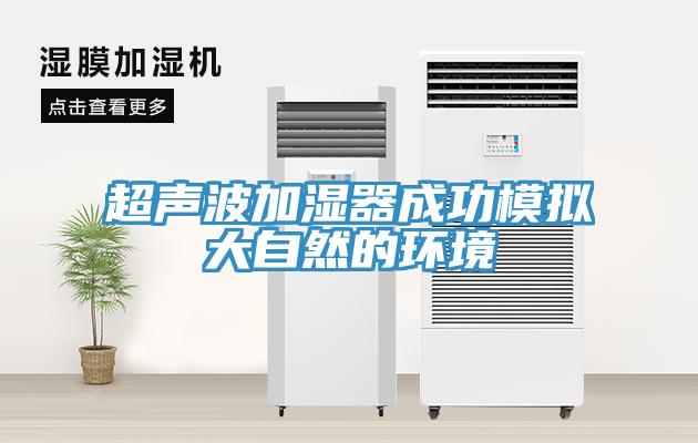 超聲波加濕器成功模擬大自然的環境