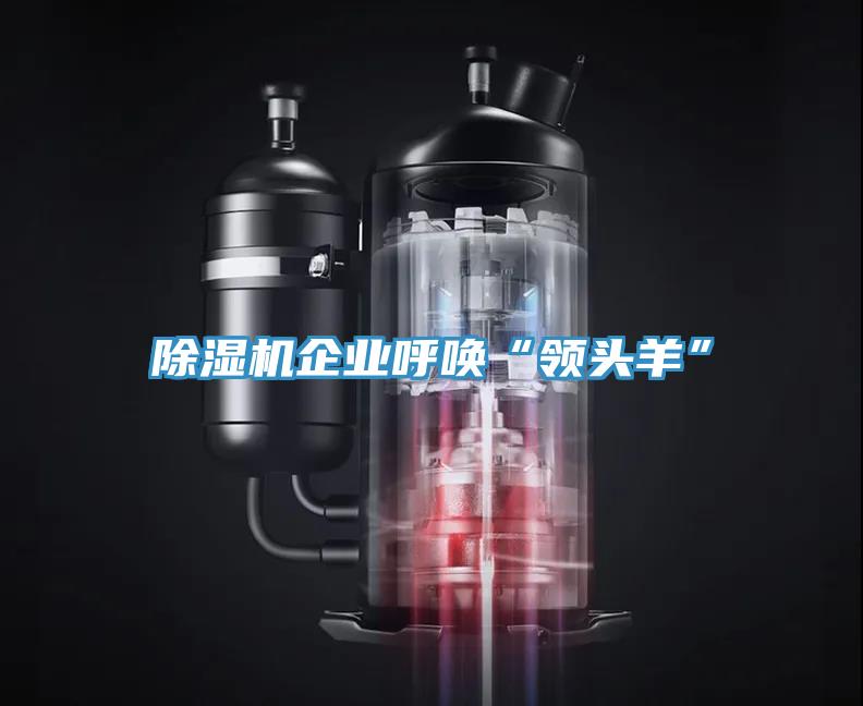 除濕機企業呼喚“領頭羊”