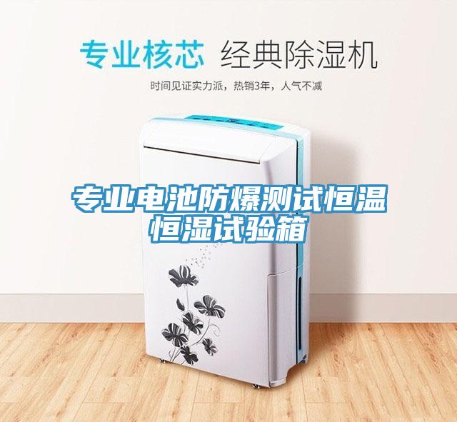 專業電池防爆測試恒溫恒濕試驗箱