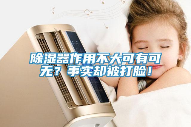 除濕器作用不大可有可無？事實卻被打臉！