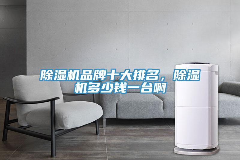 除濕機品牌十大排名，除濕機多少錢一臺啊