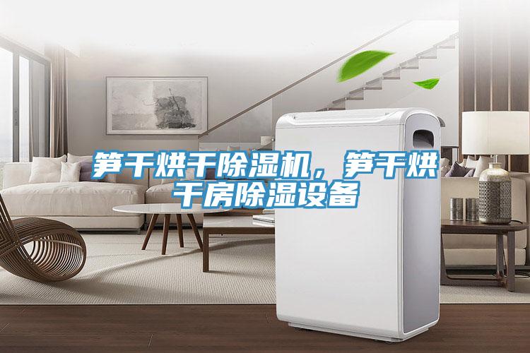 筍干烘干除濕機，筍干烘干房除濕設備