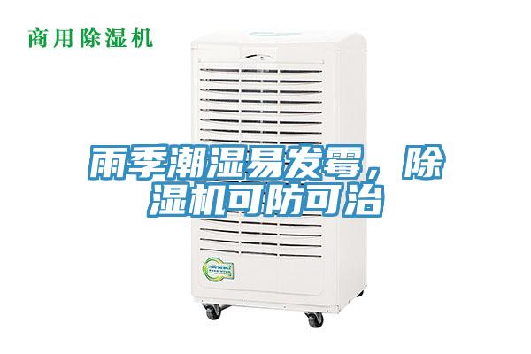 雨季潮濕易發霉，除濕機可防可治