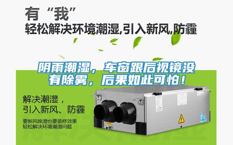 陰雨潮濕，車窗跟后視鏡沒有除霧，后果如此可怕！