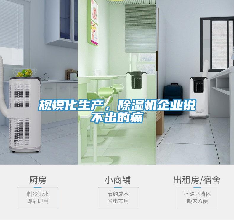 規模化生產，除濕機企業說不出的痛