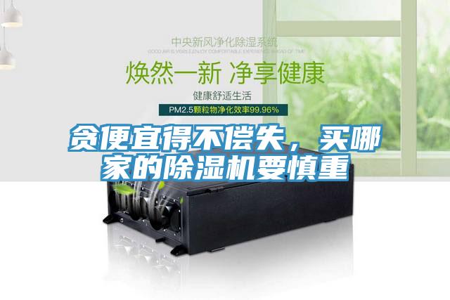 貪便宜得不償失，買(mǎi)哪家的除濕機(jī)要慎重