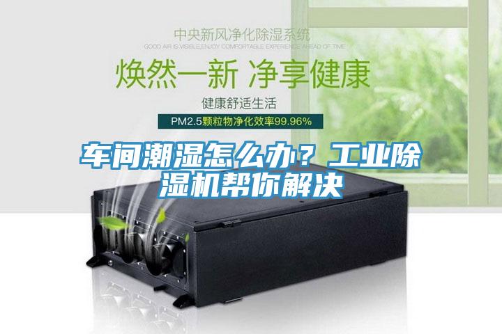 車間潮濕怎么辦？工業除濕機幫你解決