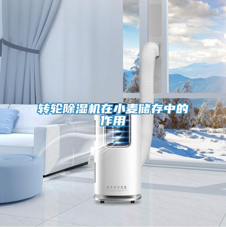 轉(zhuǎn)輪除濕機(jī)在小麥儲存中的作用