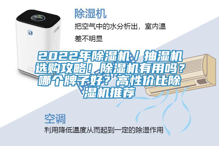 2022年除濕機／抽濕機選購攻略！除濕機有用嗎？哪個牌子好？高性價比除濕機推薦