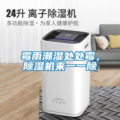 霉雨潮濕處處霉，除濕機(jī)來(lái)一一除