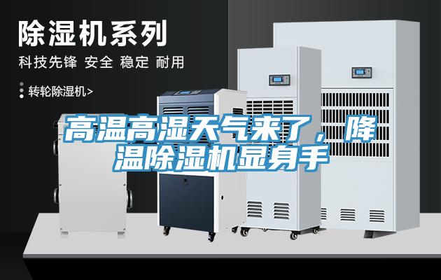 高溫高濕天氣來了，降溫除濕機顯身手