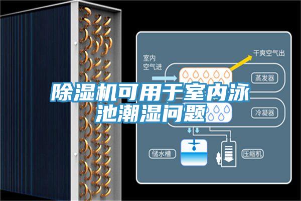 除濕機可用于室內泳池潮濕問題