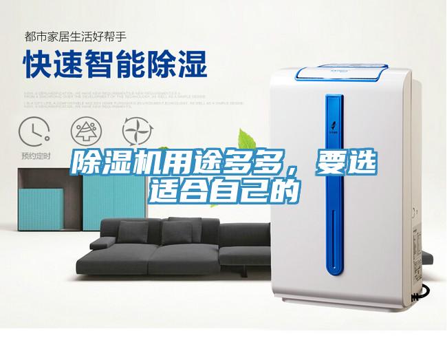 除濕機用途多多，要選適合自己的