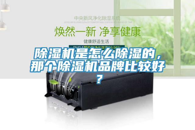 除濕機是怎么除濕的，那個除濕機品牌比較好？