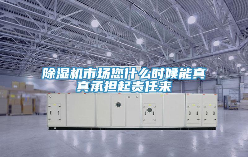 除濕機(jī)市場您什么時候能真真承擔(dān)起責(zé)任來