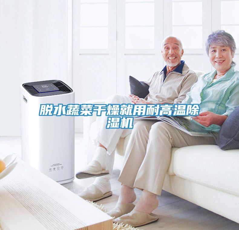 脫水蔬菜干燥就用耐高溫除濕機