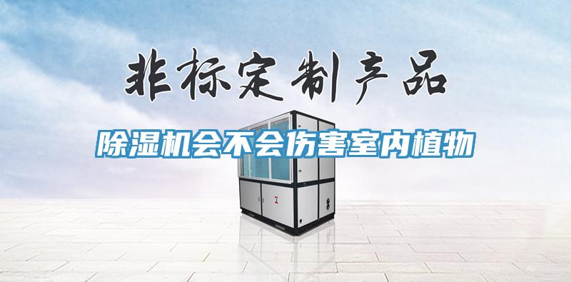除濕機會不會傷害室內植物