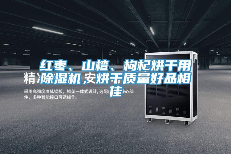 紅棗、山楂、枸杞烘干用除濕機，烘干質(zhì)量好品相佳