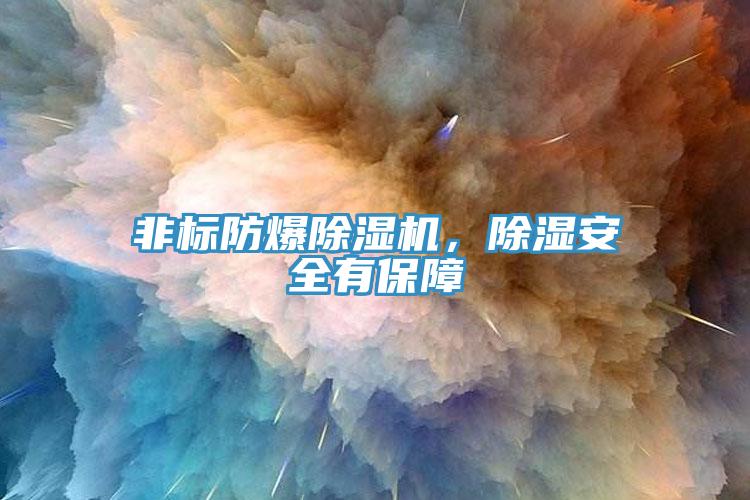 非標防爆除濕機，除濕安全有保障