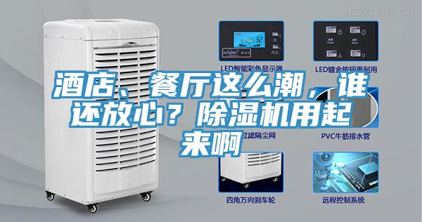 酒店、餐廳這么潮，誰還放心？除濕機用起來啊