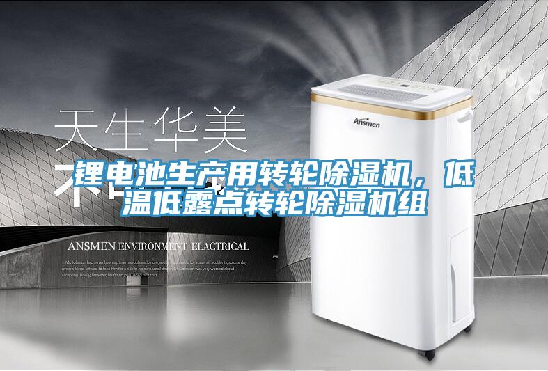鋰電池生產用轉輪除濕機，低溫低露點轉輪除濕機組