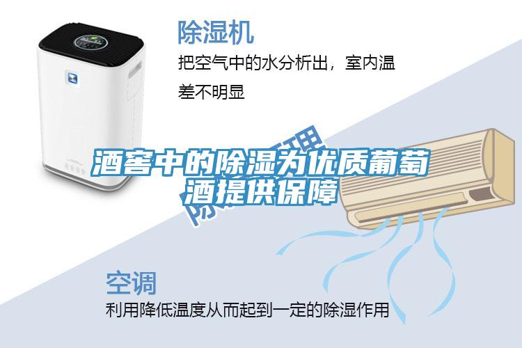 酒窖中的除濕為優質葡萄酒提供保障