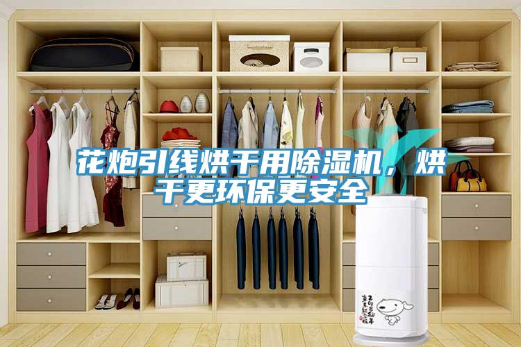 花炮引線烘干用除濕機，烘干更環保更安全