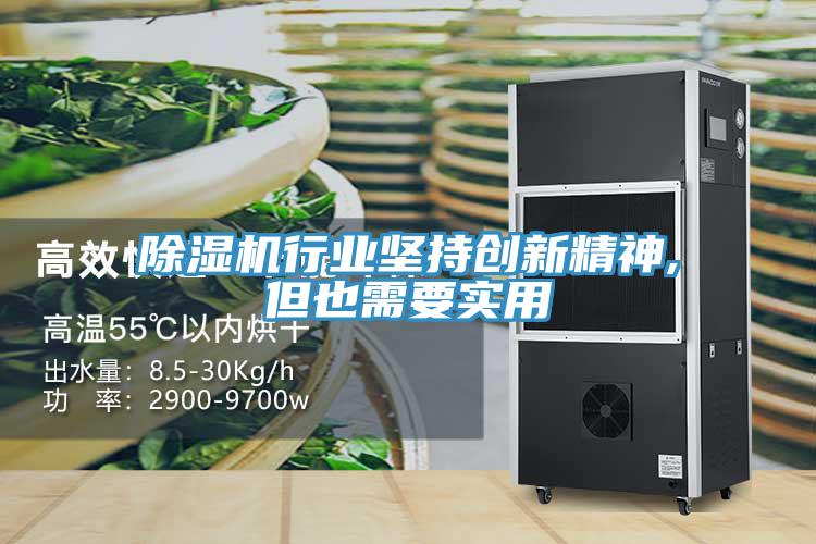 除濕機行業堅持創新精神,但也需要實用