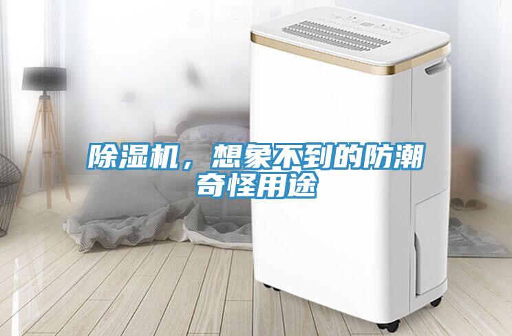 除濕機，想象不到的防潮奇怪用途