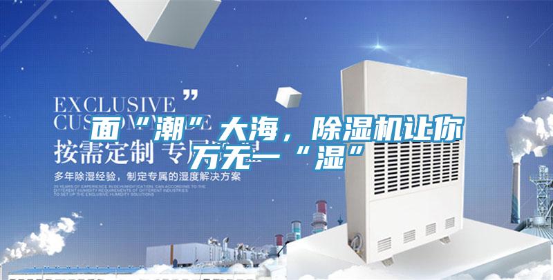 面“潮”大海，除濕機(jī)讓你萬(wàn)無(wú)一“濕”