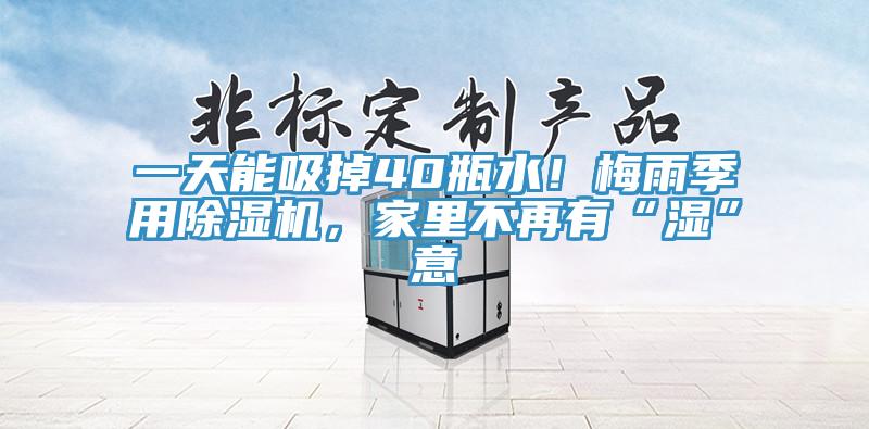 一天能吸掉40瓶水！梅雨季用除濕機，家里不再有“濕”意
