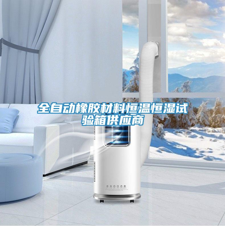 全自動橡膠材料恒溫恒濕試驗箱供應商