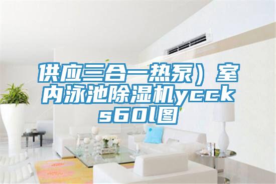 供應三合一熱泵）室內泳池除濕機yccks60l圖