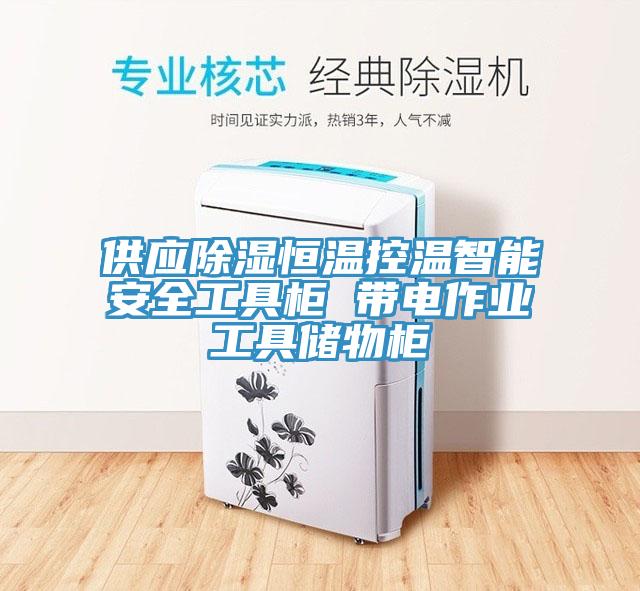 供應除濕恒溫控溫智能安全工具柜 帶電作業工具儲物柜