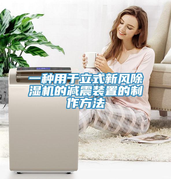 一種用于立式新風除濕機的減震裝置的制作方法