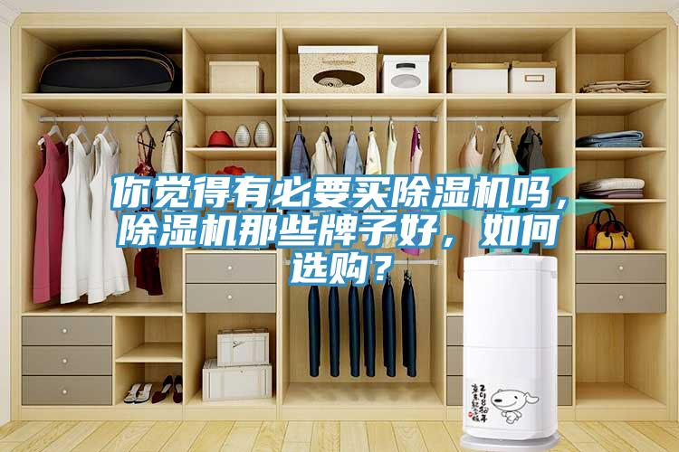 你覺得有必要買除濕機嗎，除濕機那些牌子好，如何選購？