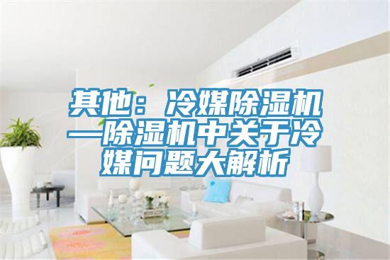 其他：冷媒除濕機(jī)—除濕機(jī)中關(guān)于冷媒問(wèn)題大解析