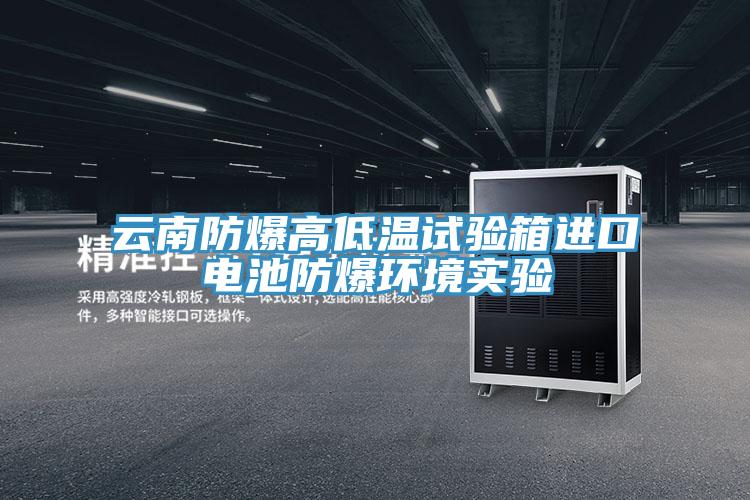 云南防爆高低溫試驗箱進口電池防爆環境實驗