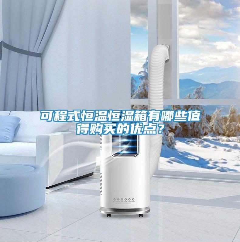 可程式恒溫恒濕箱有哪些值得購買的優(yōu)點(diǎn)？