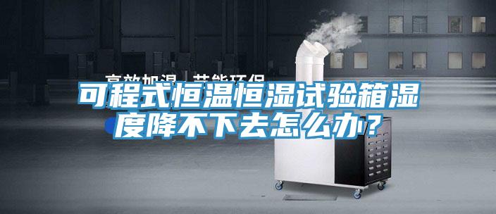 可程式恒溫恒濕試驗箱濕度降不下去怎么辦？