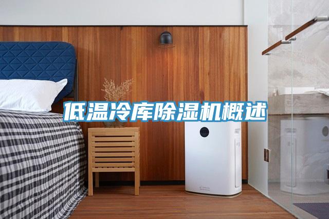 低溫冷庫除濕機(jī)概述