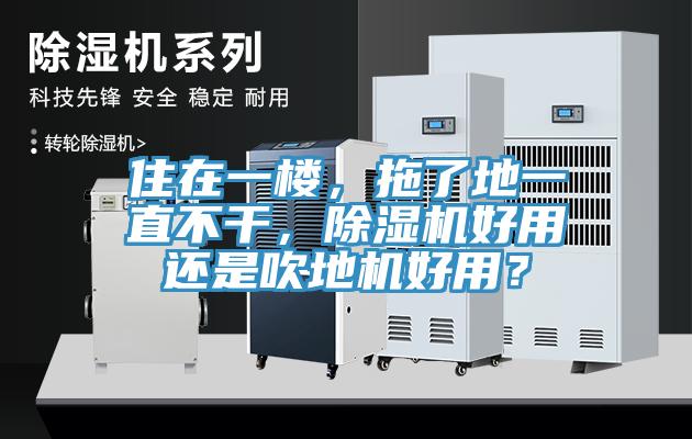 住在一樓，拖了地一直不干，除濕機好用還是吹地機好用？