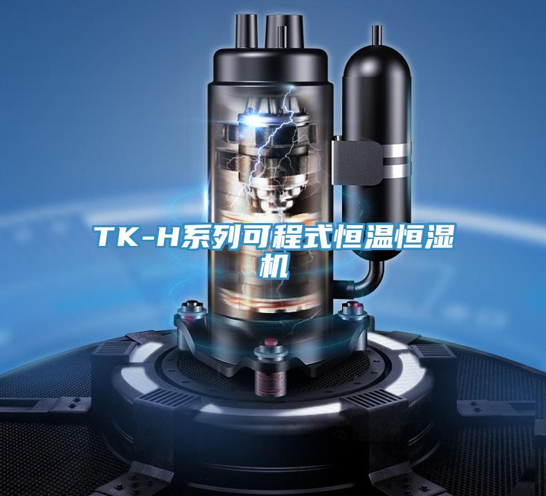 TK-H系列可程式恒溫恒濕機