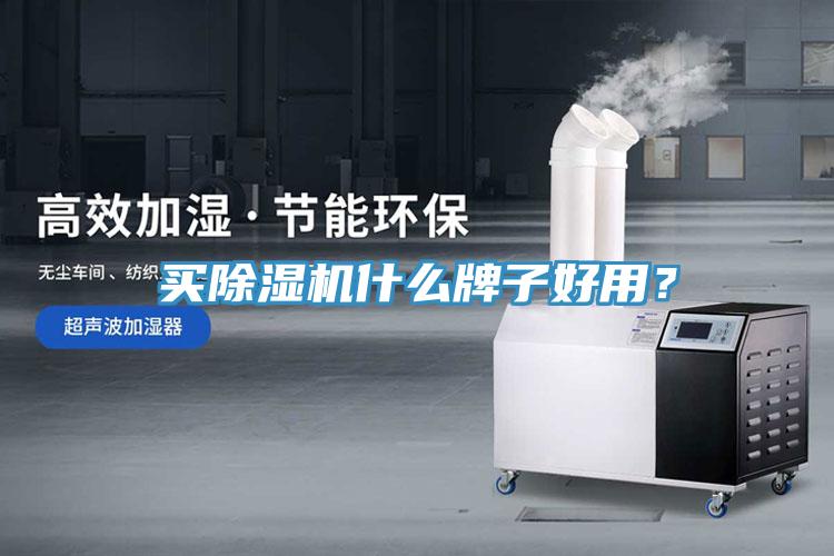 買除濕機什么牌子好用？
