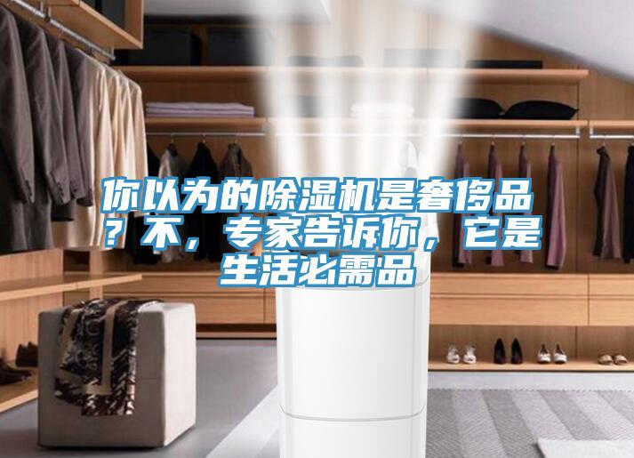 你以為的除濕機是奢侈品？不，專家告訴你，它是生活必需品